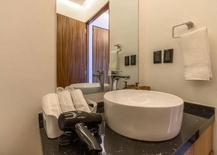 L203 New 1bdrm 1bath Ac Rooftop Mexico City